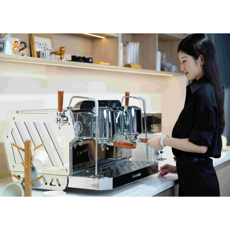Профессиональная коммерческая  – обзор и цена Commercial Espresso Machine 2 Group