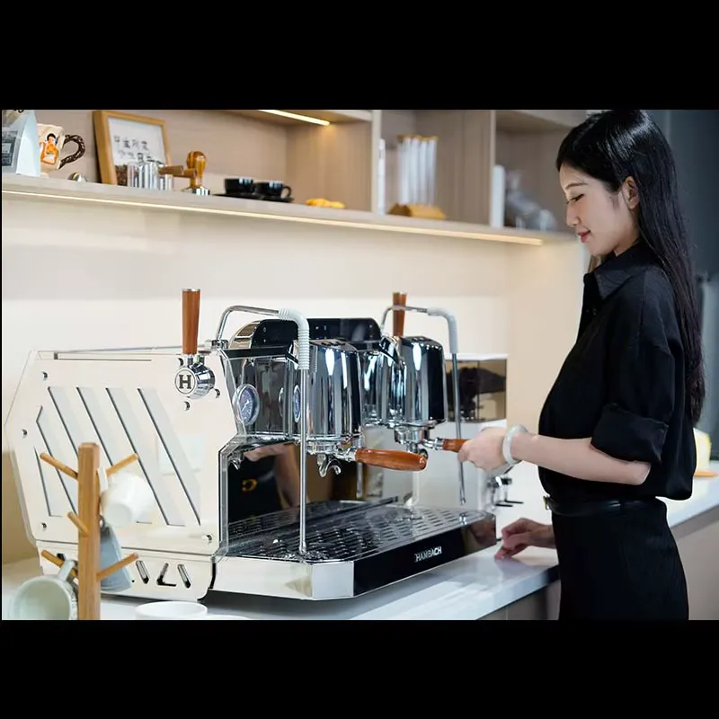 Профессиональная коммерческая  – обзор и цена Commercial Espresso Machine 2 Group